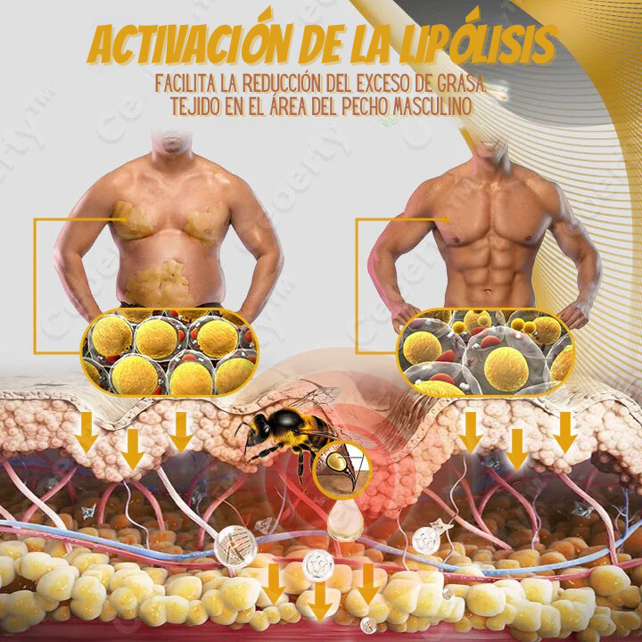 Bee venom Gynecomastia Heating Oil 15 ml (Pack of 2)